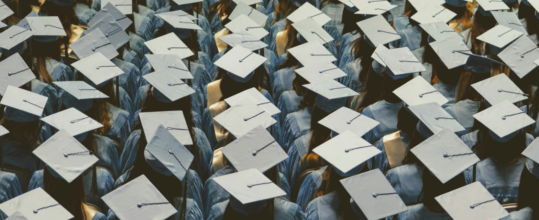 Graduation caps from above